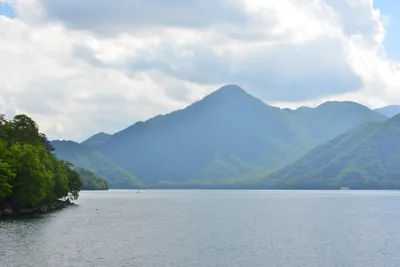 DSC_3919 (Large).JPG